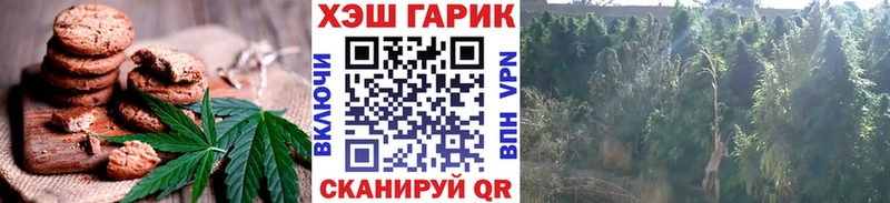 Canna-Cookies марихуана  Купить закладки  Олонец 