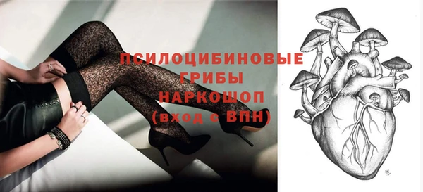 первитин Няндома