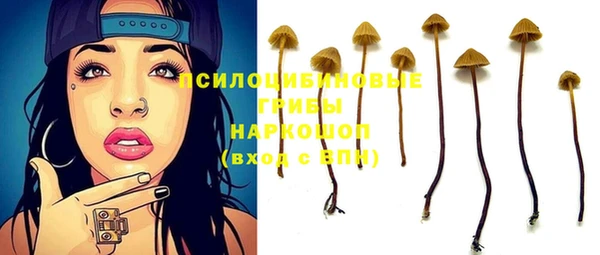 трава Нязепетровск