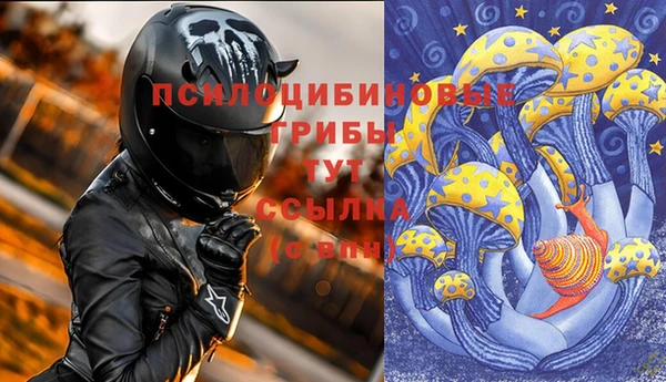 хмурый Щёлкино