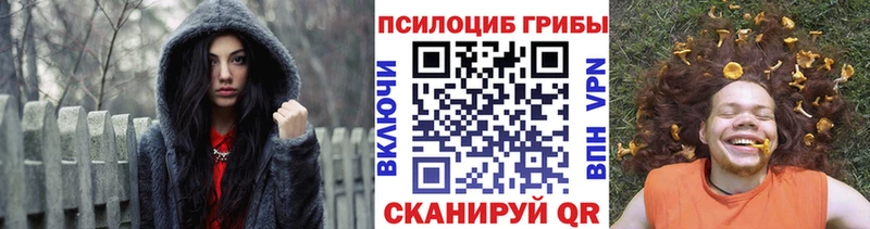 Купить где  Олонец  Псилоцибиновые грибы Psilocybe 